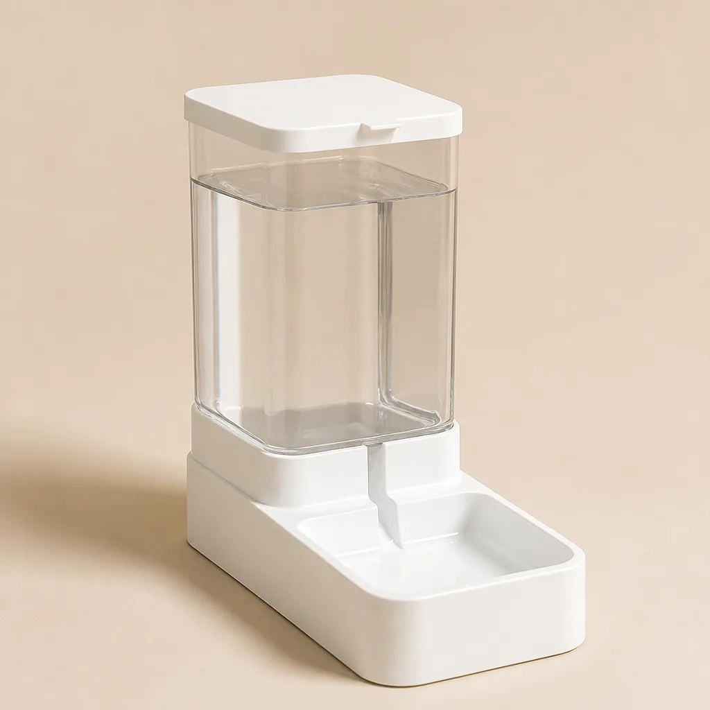 Gamelle D'Eau Pour Chien