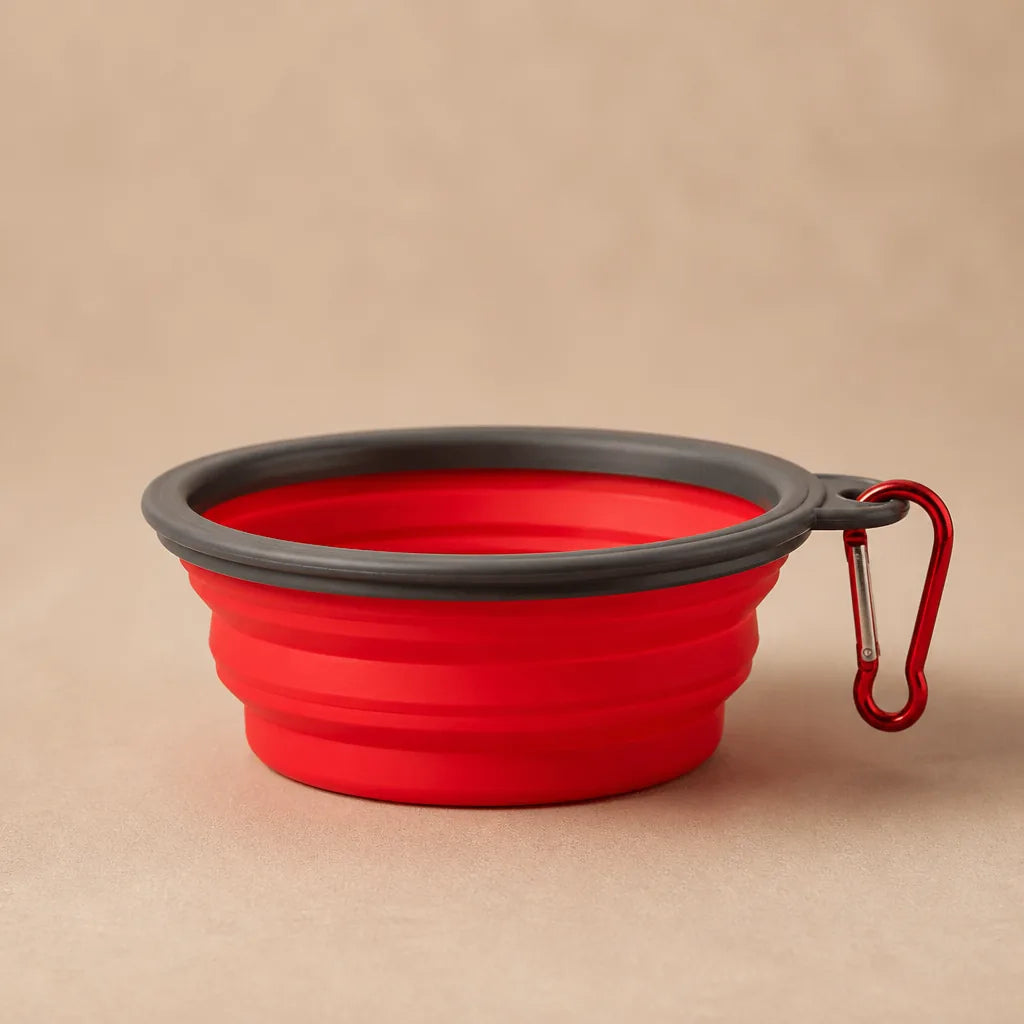 Gamelle De Voyage Pliable En Silicone Pour Chien