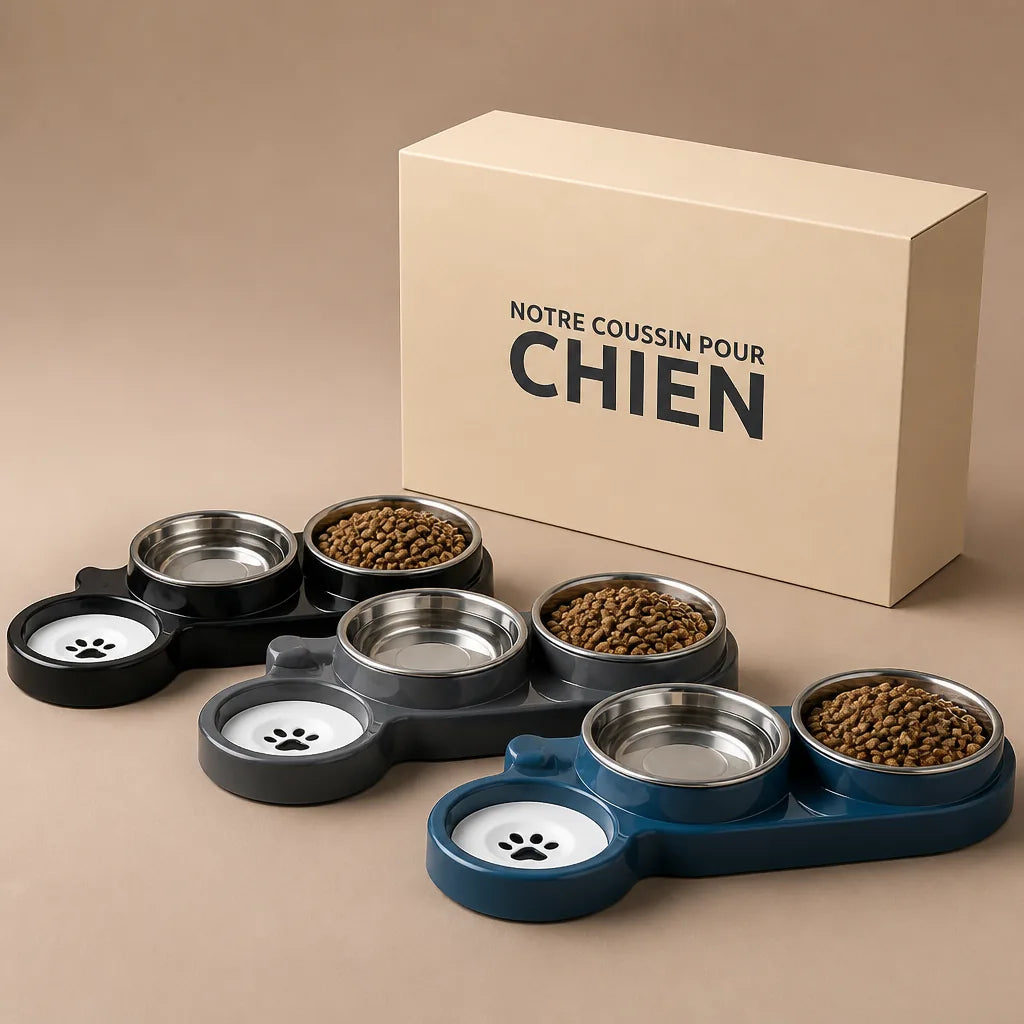 gamelle-double-pour-chien-design
