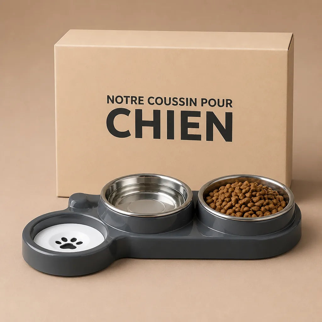 Gamelle Double Pour Chien Design