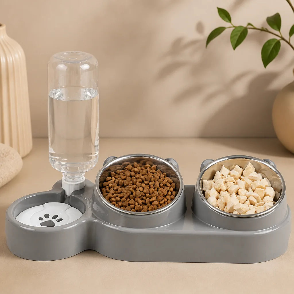 Gamelle Double Pour Chien Design