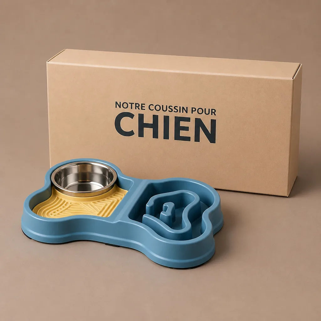 Gamelle Double Pour Chien