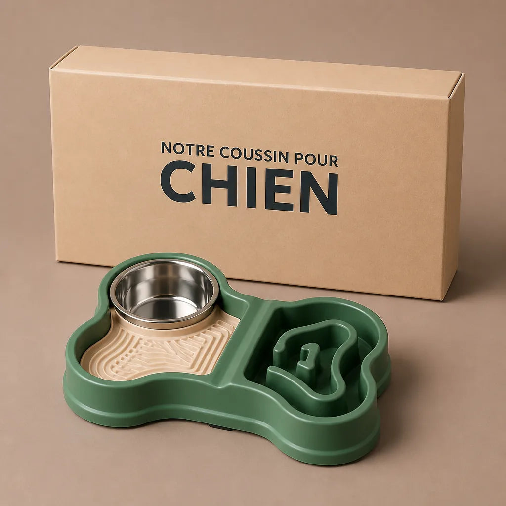 Gamelle Double Pour Chien
