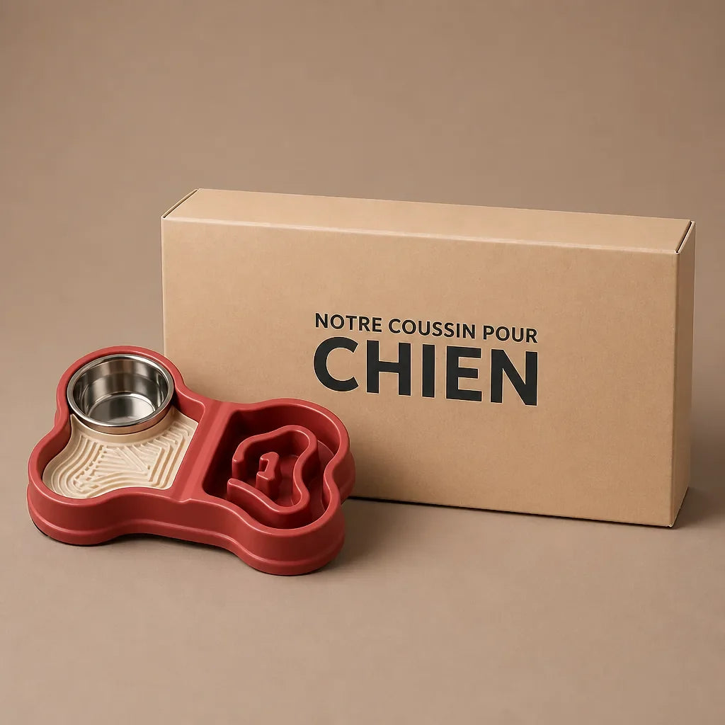 Gamelle Double Pour Chien