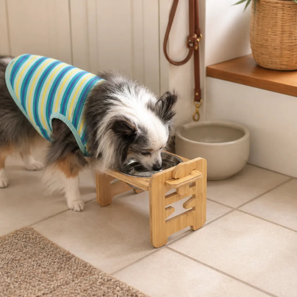 gamelle-double-reglable-pour-chien