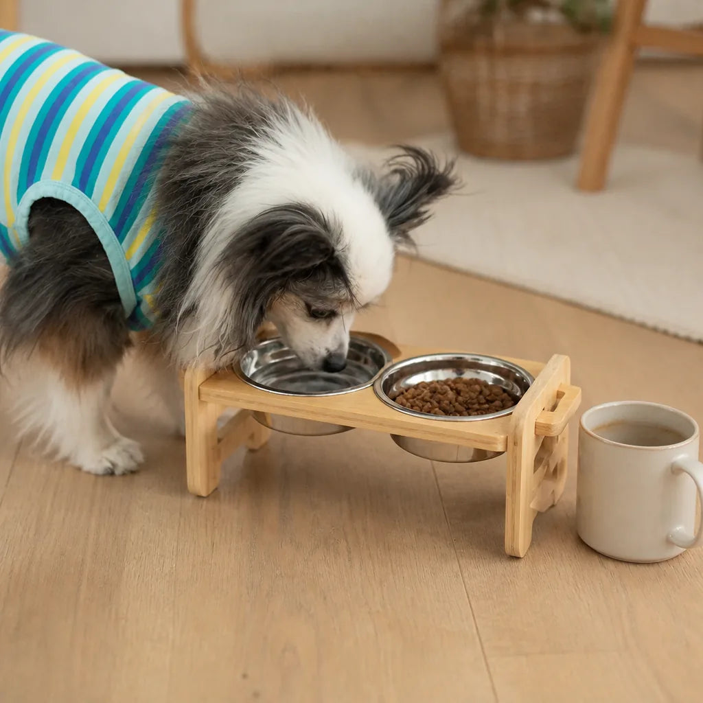 gamelle-double-reglable-pour-chien