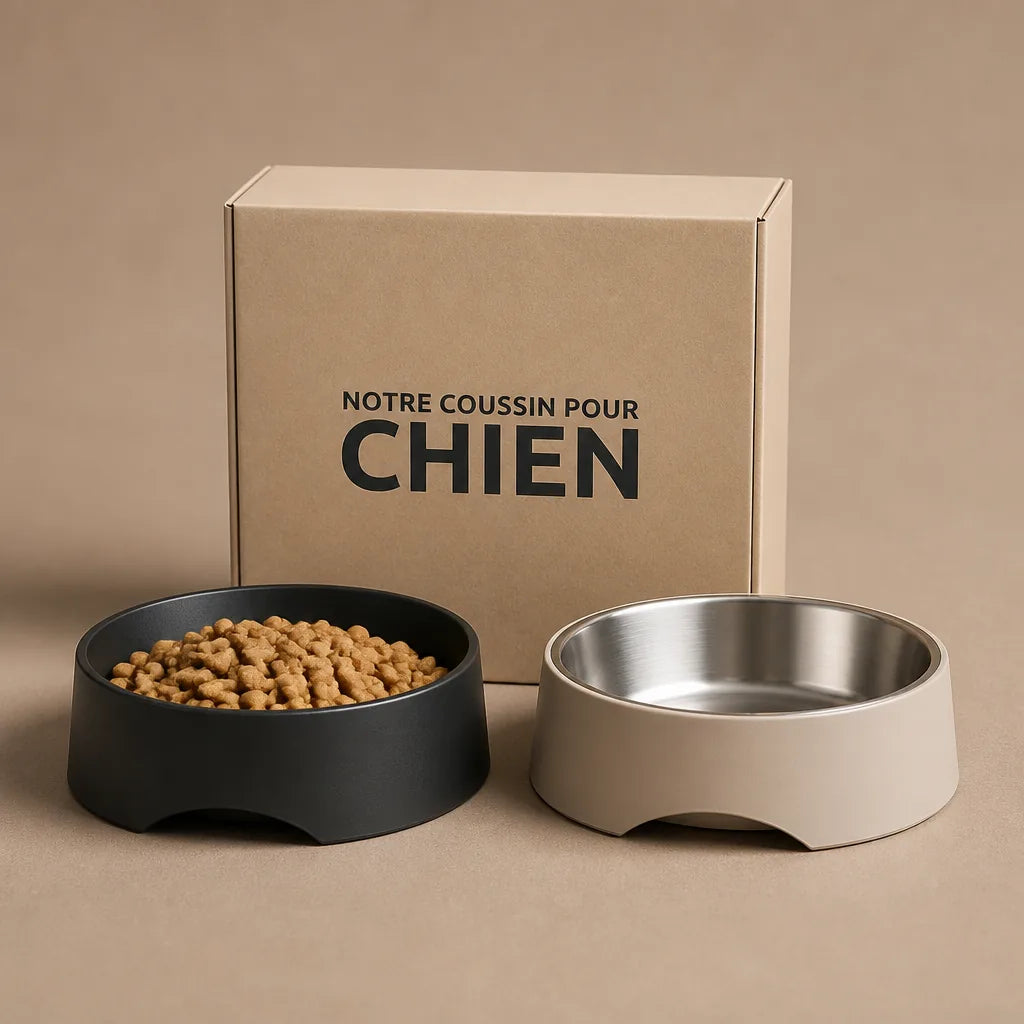gamelle-electronique-pour-chien