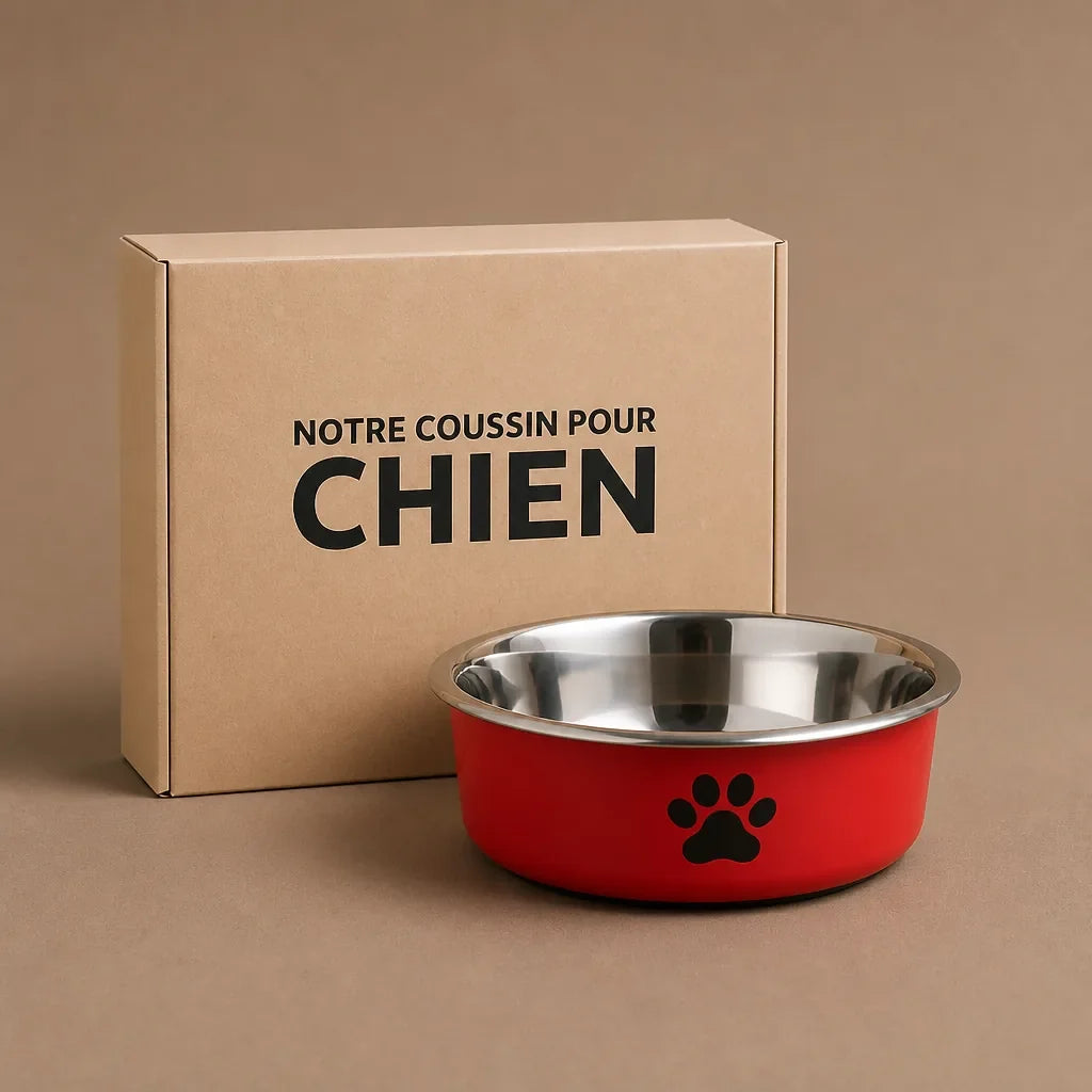 Gamelle En Inox Pour Chien
