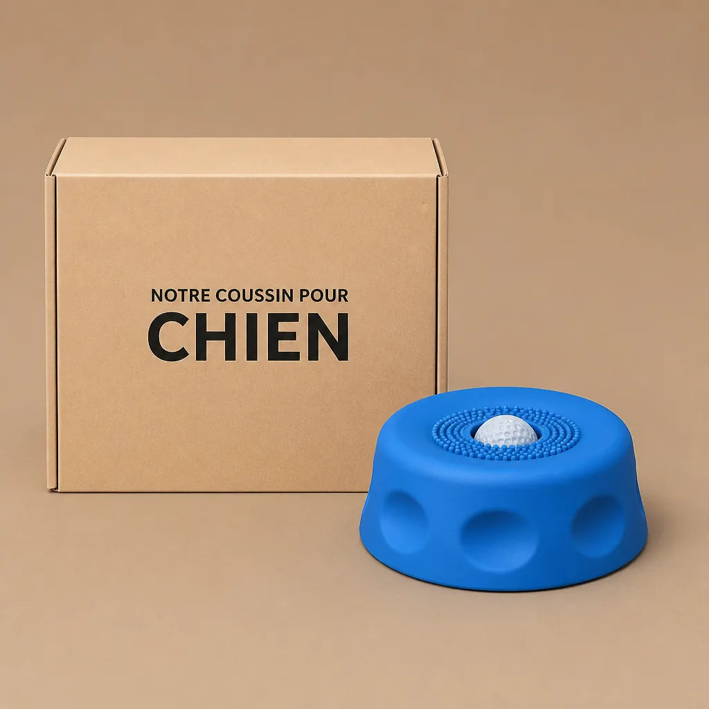 Gamelle Interactive Pour Chien