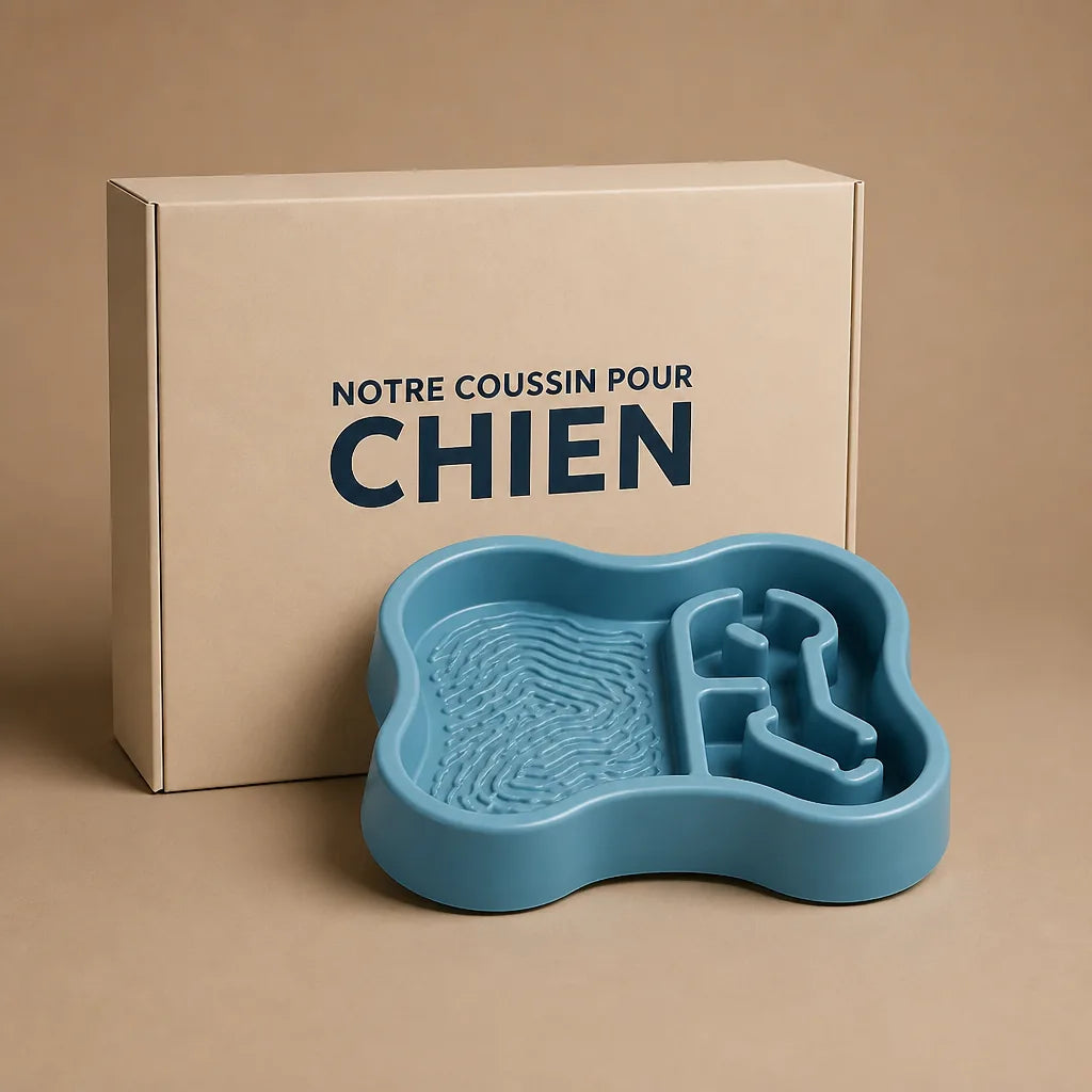 Gamelle Labyrinthe Pour Chien