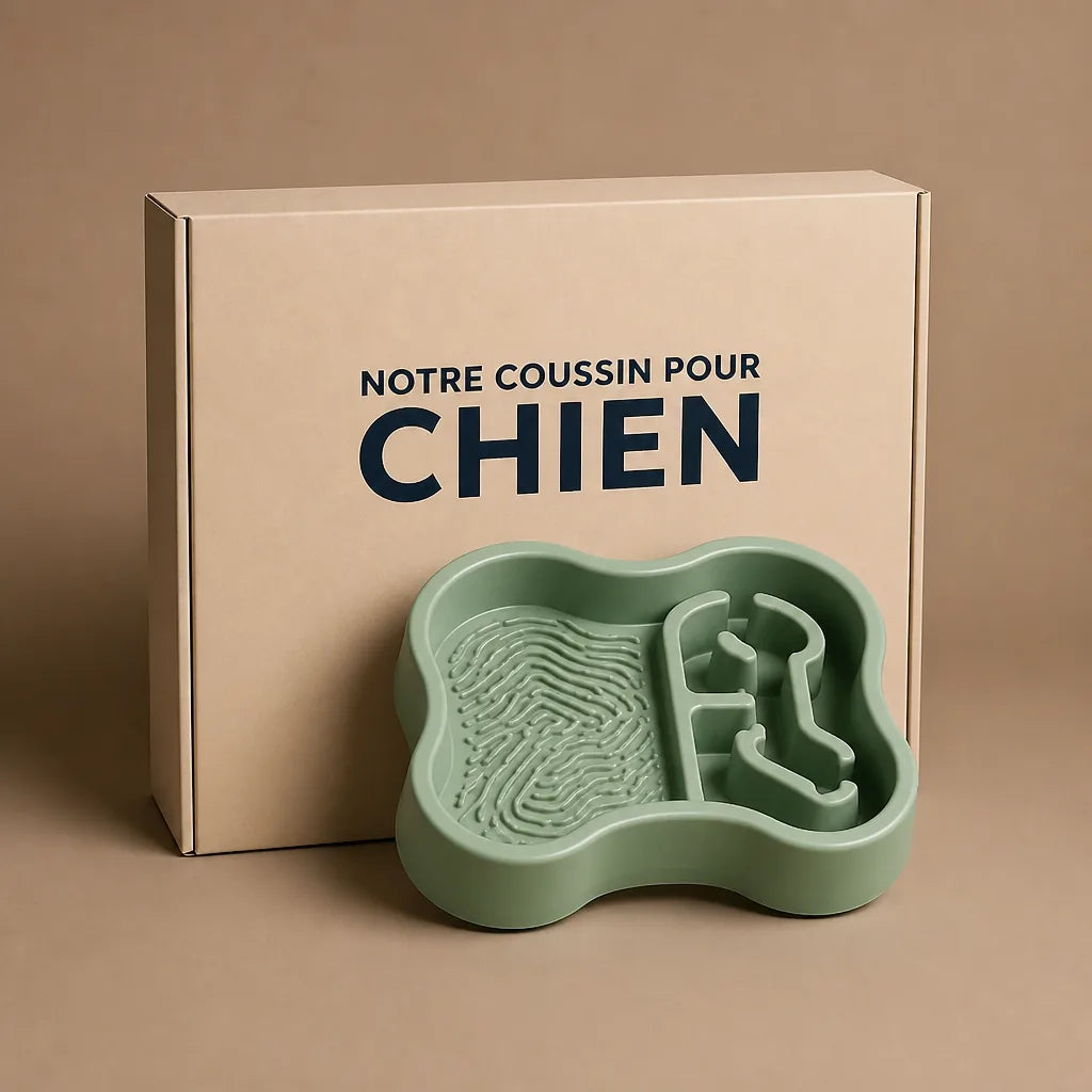 Gamelle Labyrinthe Pour Chien