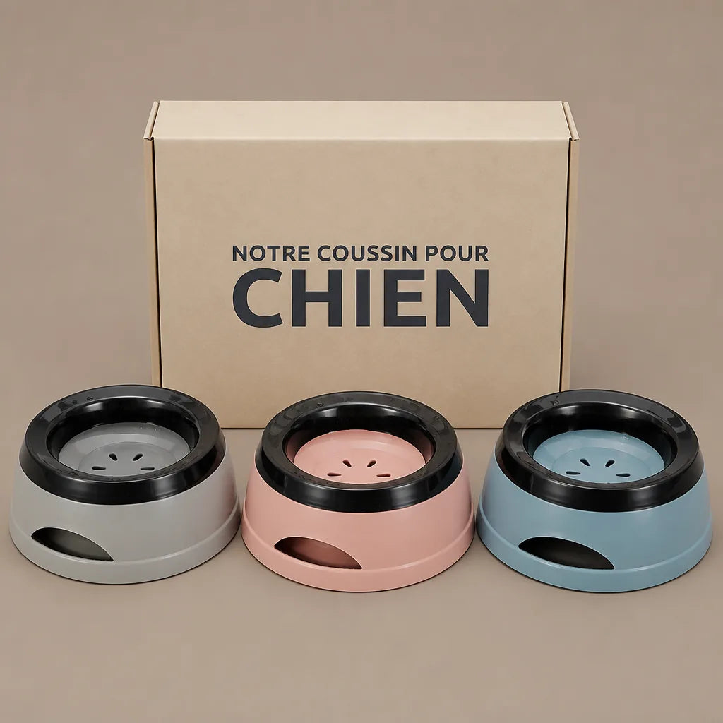 gamelle-menagere-pour-chien