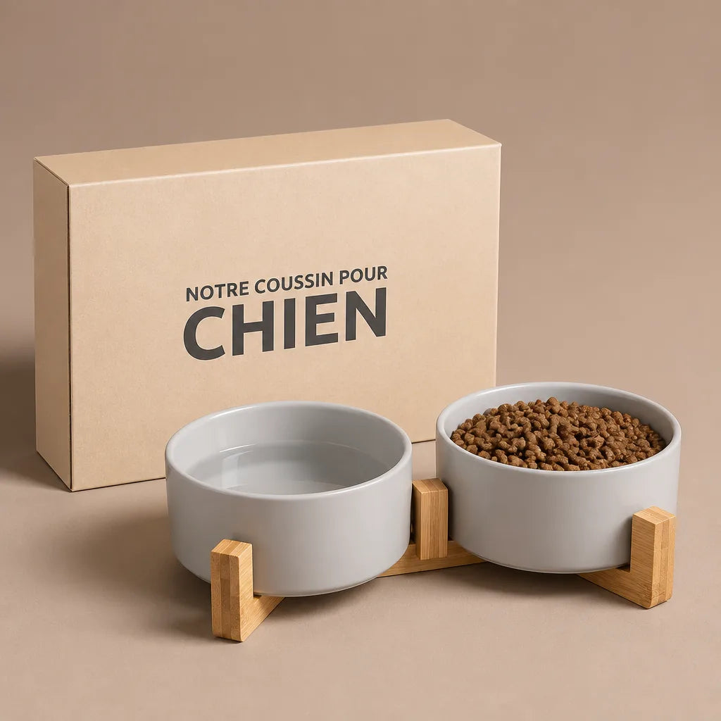 gamelle-originale-pour-chien