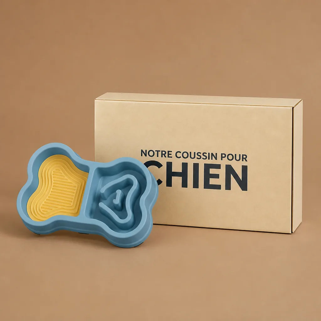 Gamelle Os Pour Chien