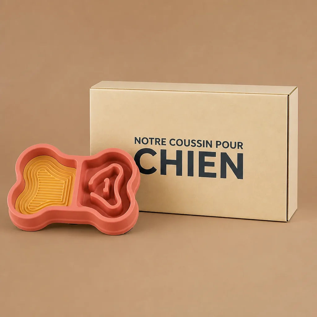 Gamelle Os Pour Chien