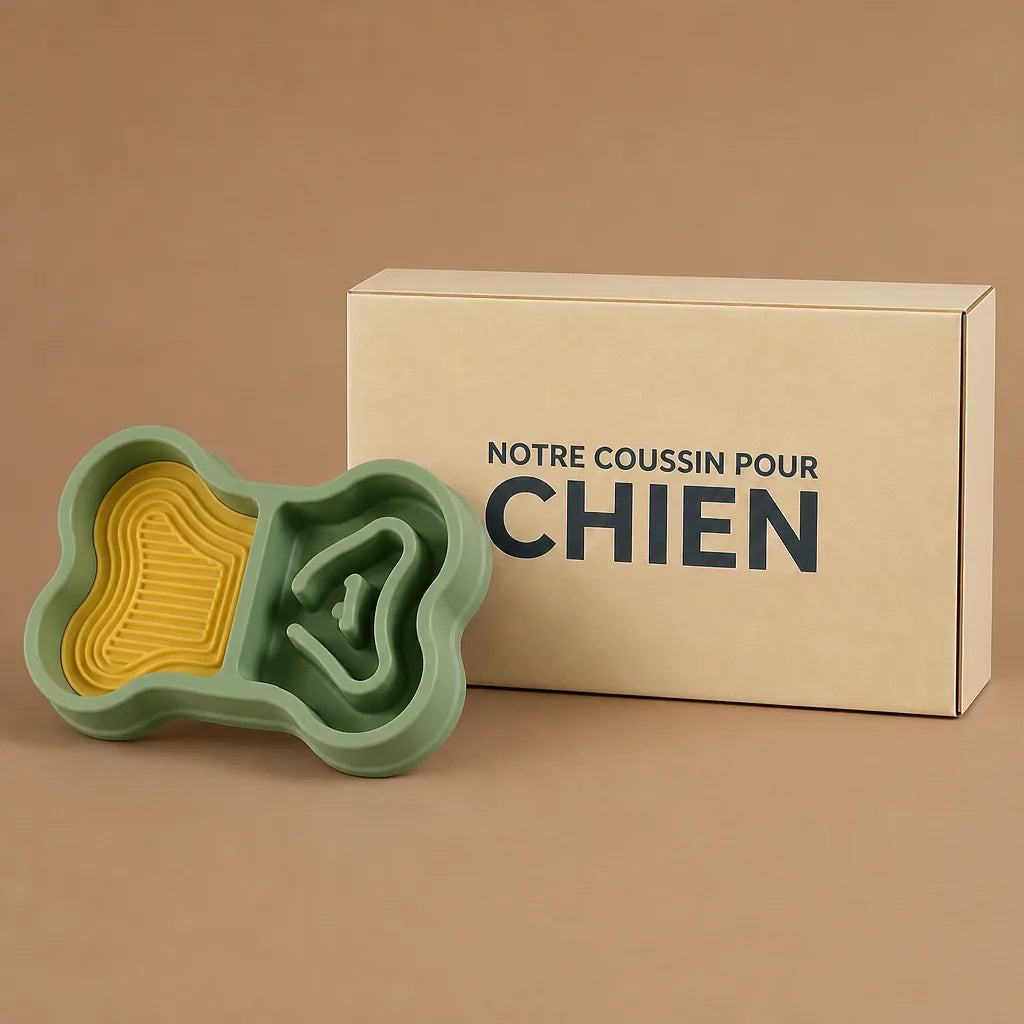 Gamelle Os Pour Chien
