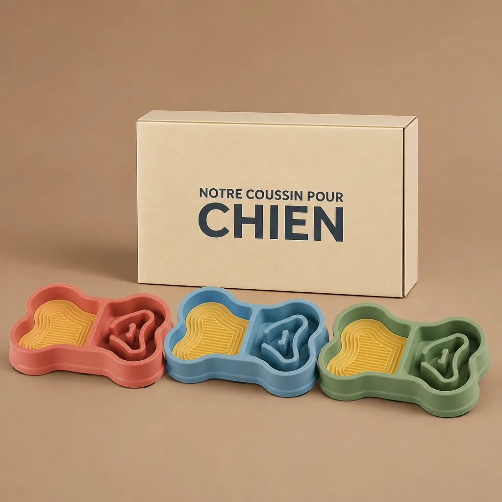 gamelle-os-pour-chien