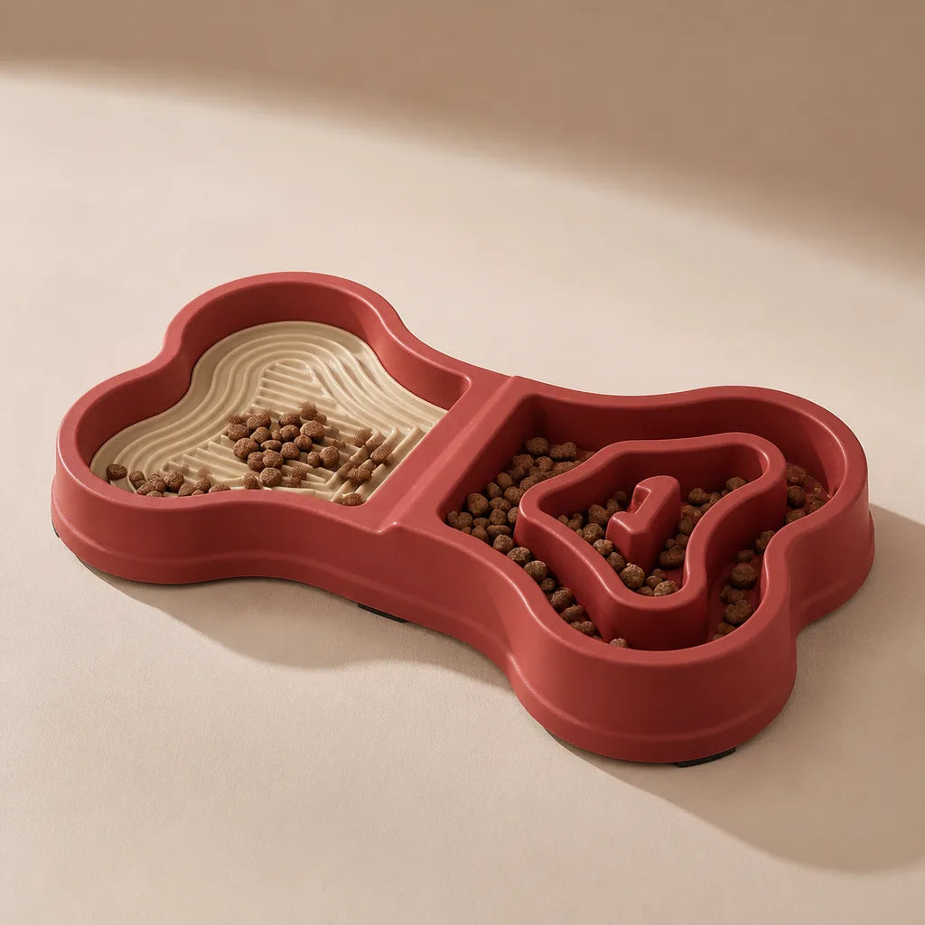 Gamelle Os Pour Chien