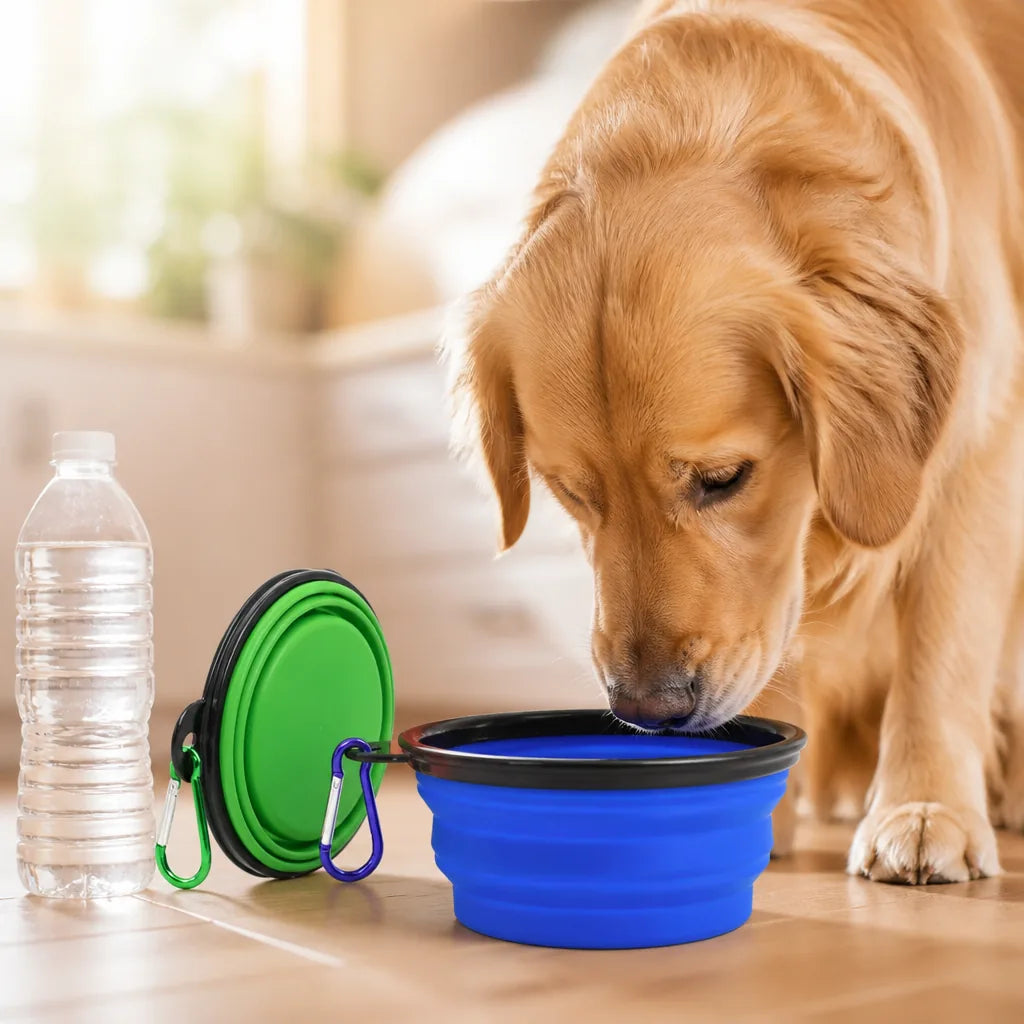 gamelle-pliable-pour-chien