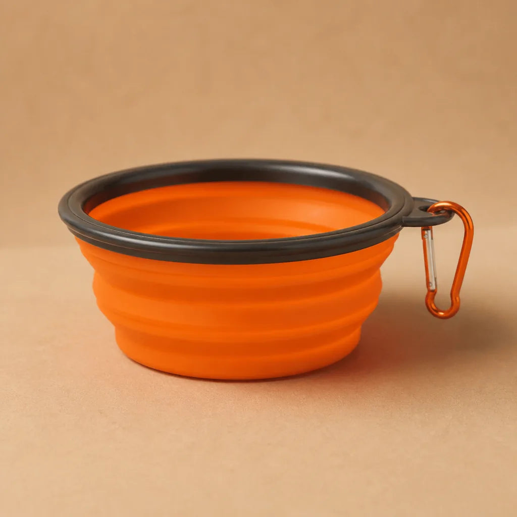 Gamelle Pliable Pour Chien