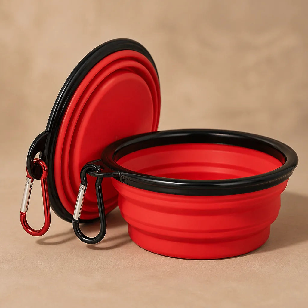 Gamelle Pliable Pour Chien