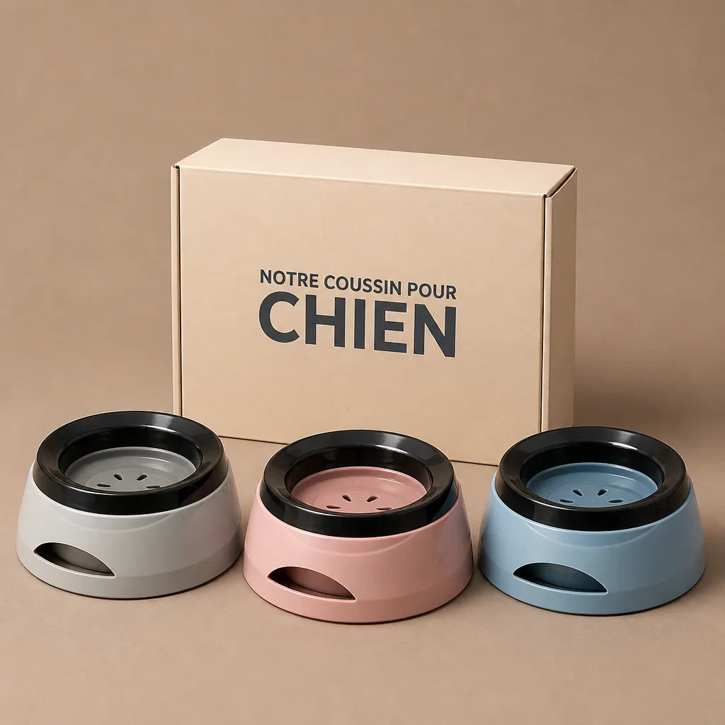 gamelle-pour-chien-anti-goutte