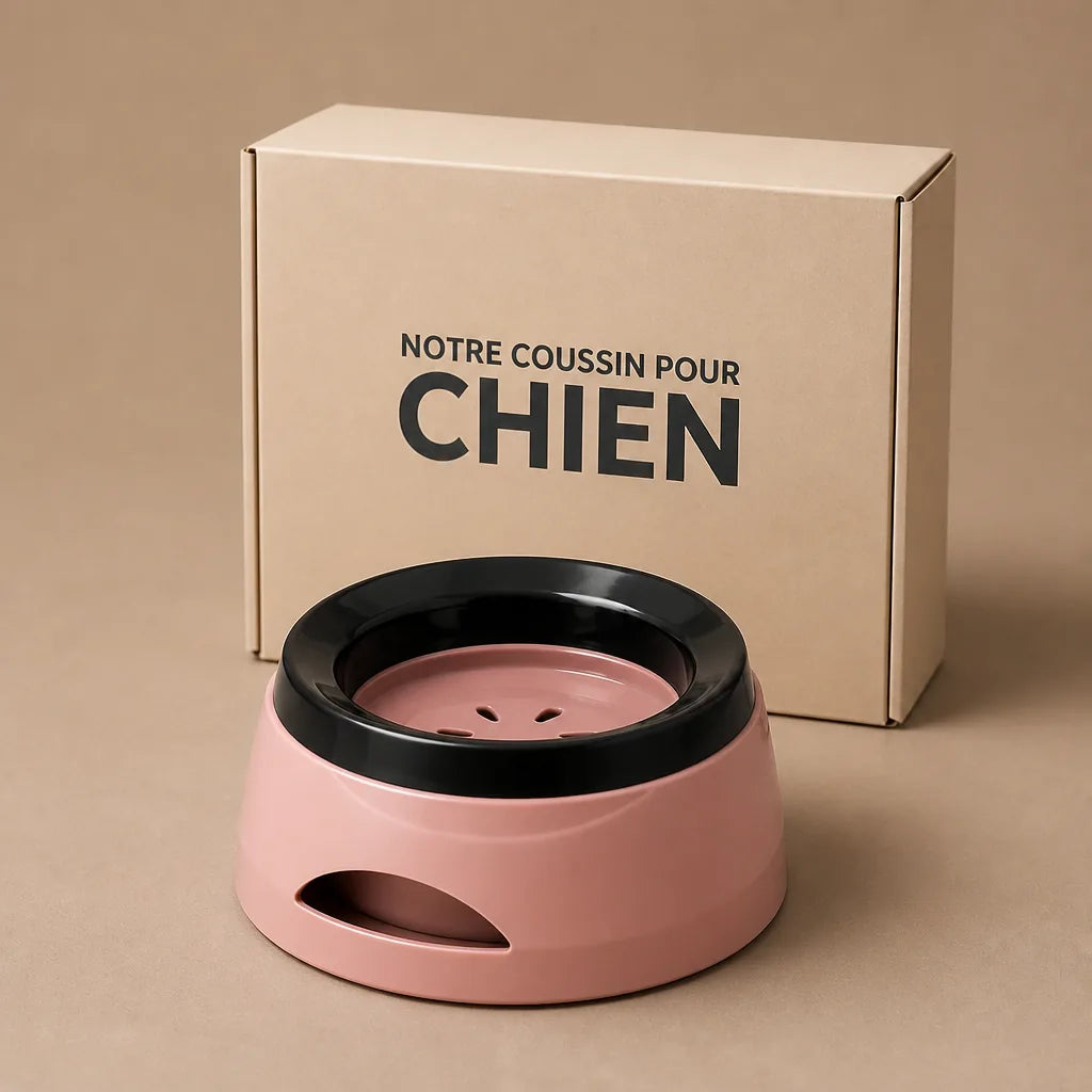 Gamelle Pour Chien Anti Goutte