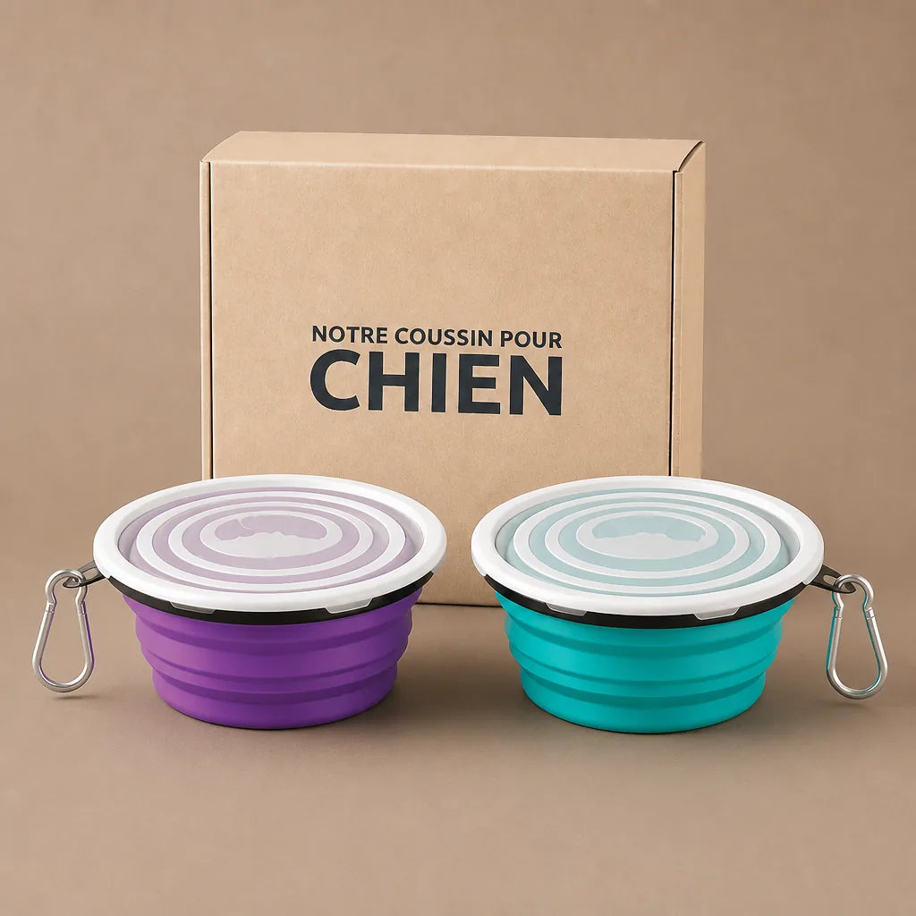 Gamelle Pour Chien Avec Couvercle