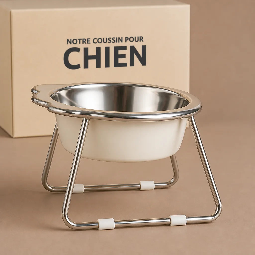 Gamelle Pour Chien En Hauteur Design