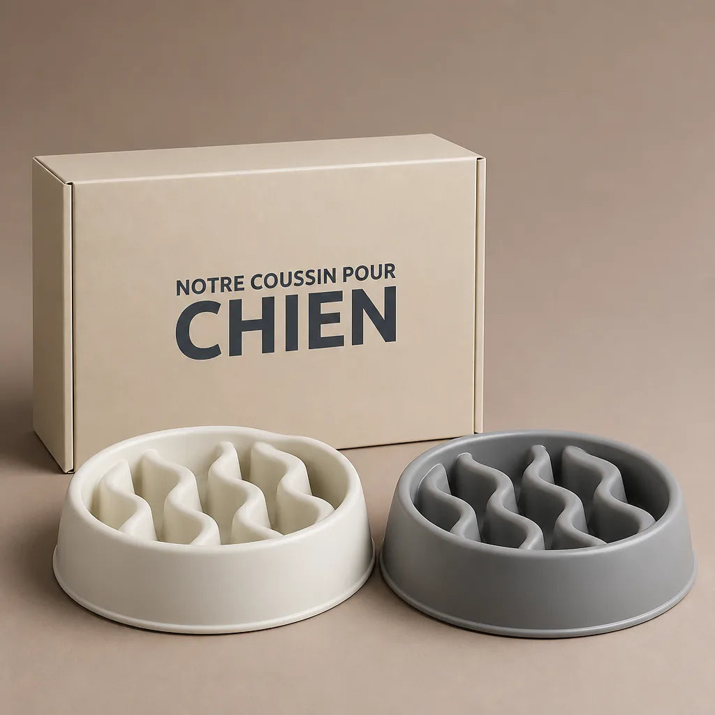 gamelle-pour-chien-gourmand