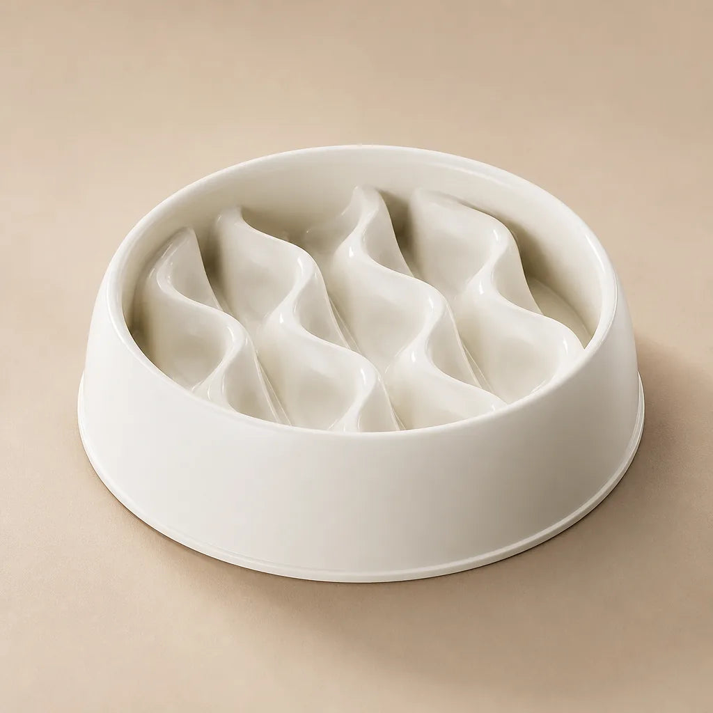 Gamelle Pour Chien Gourmand