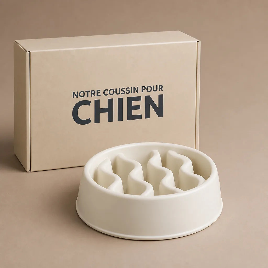 Gamelle Pour Chien Gourmand
