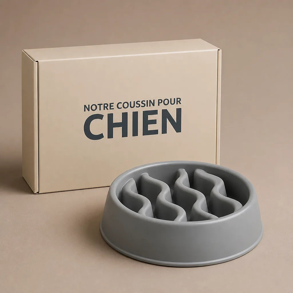 Gamelle Pour Chien Gourmand