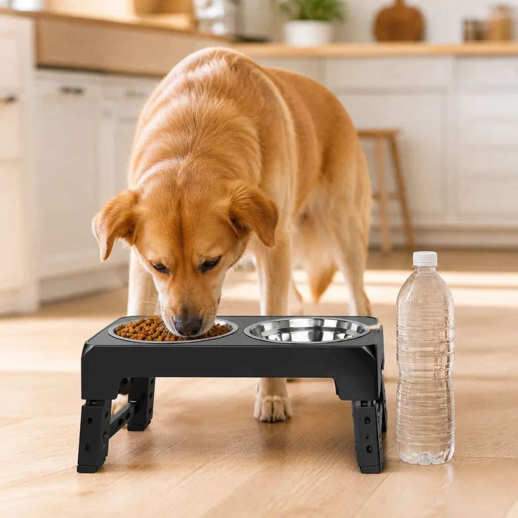 gamelle-pour-chien-hauteur