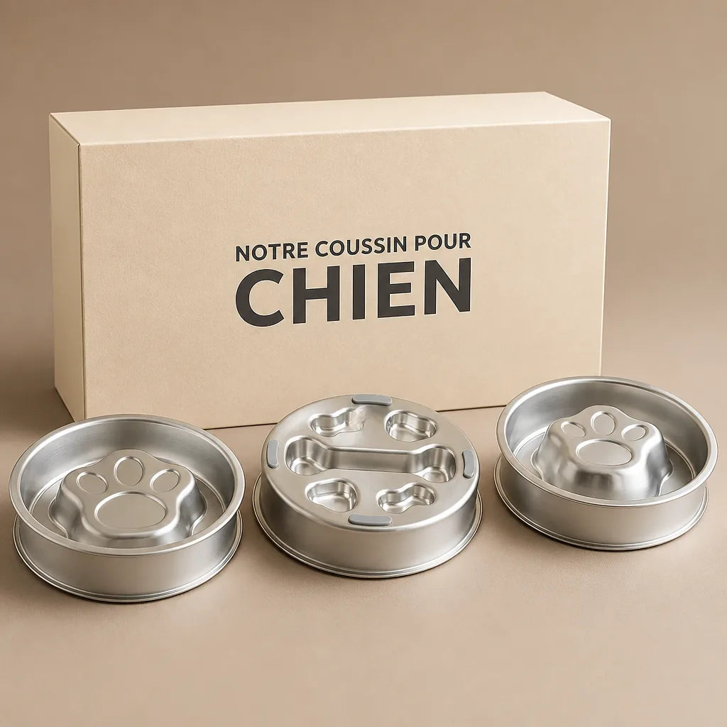 gamelle-pour-chien-medium
