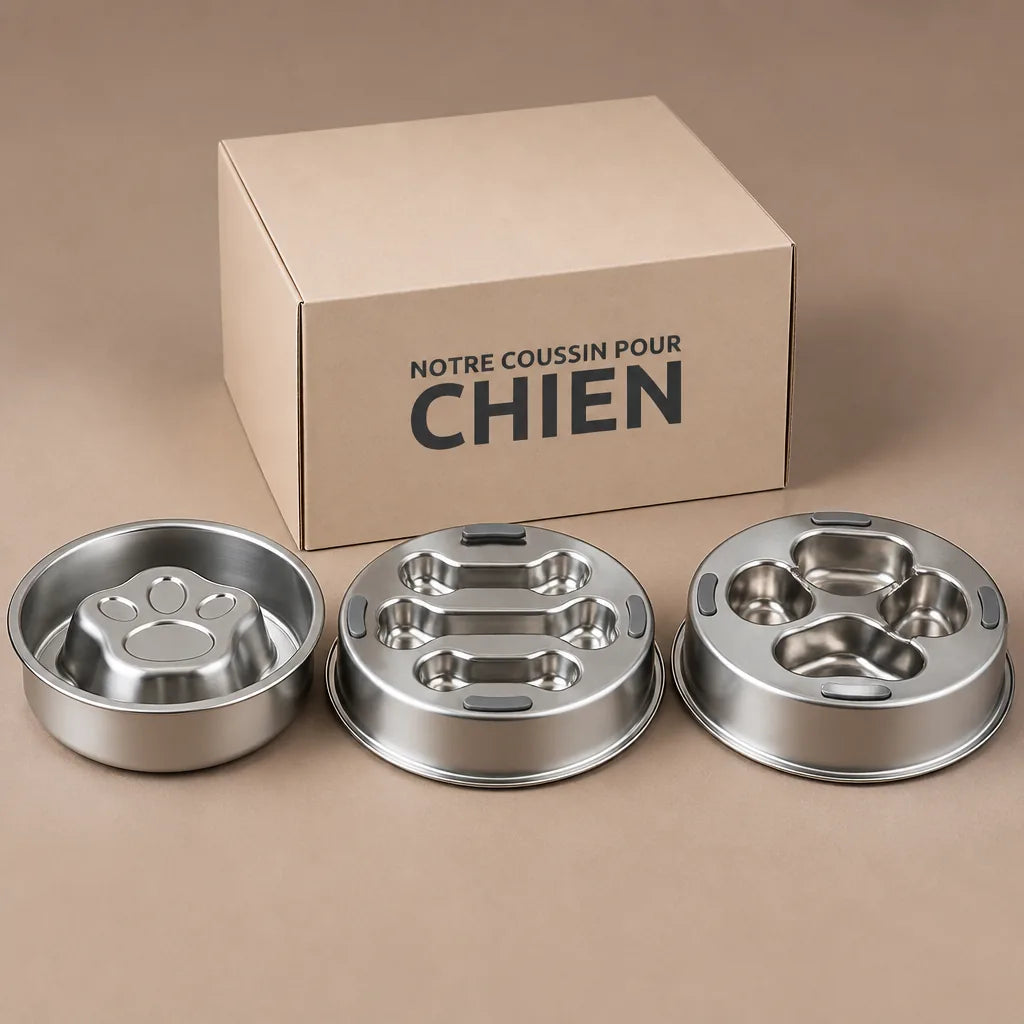 gamelle-pour-chien-moyen