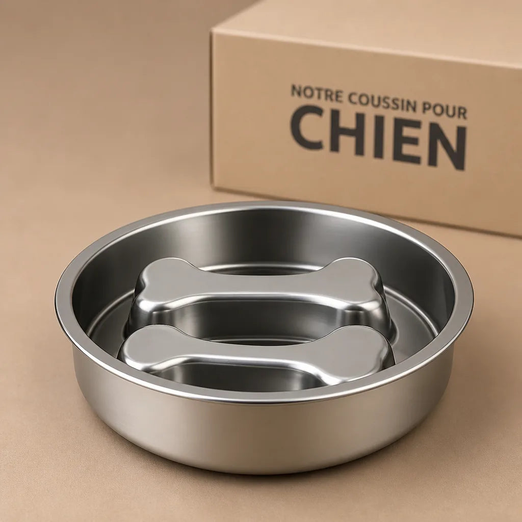 Gamelle Pour Chien Moyen