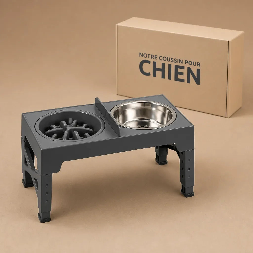 Gamelle Pour Chien Sur Pied