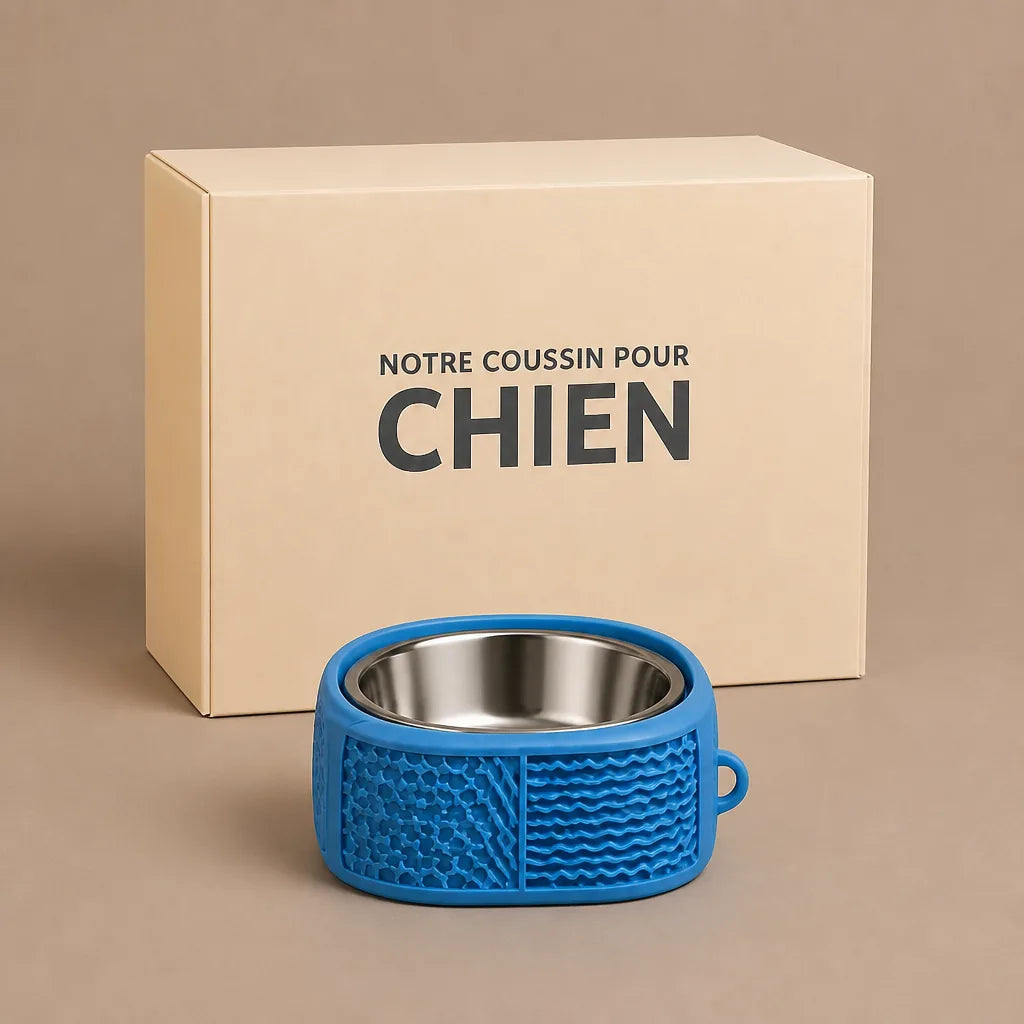 Gamelle Ventouse Pour Chien