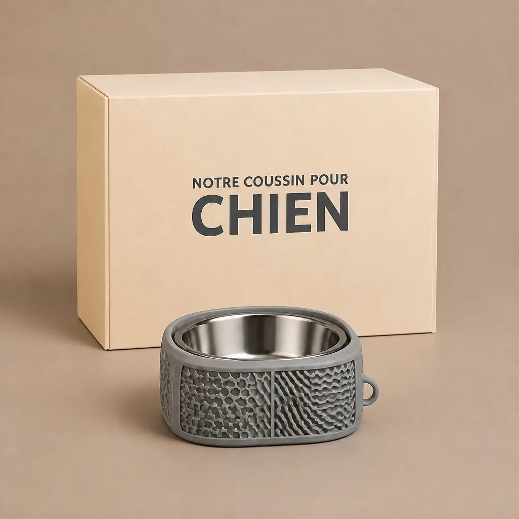 Gamelle Ventouse Pour Chien