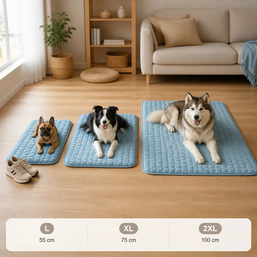 grand-tapis-pour-chien-doux