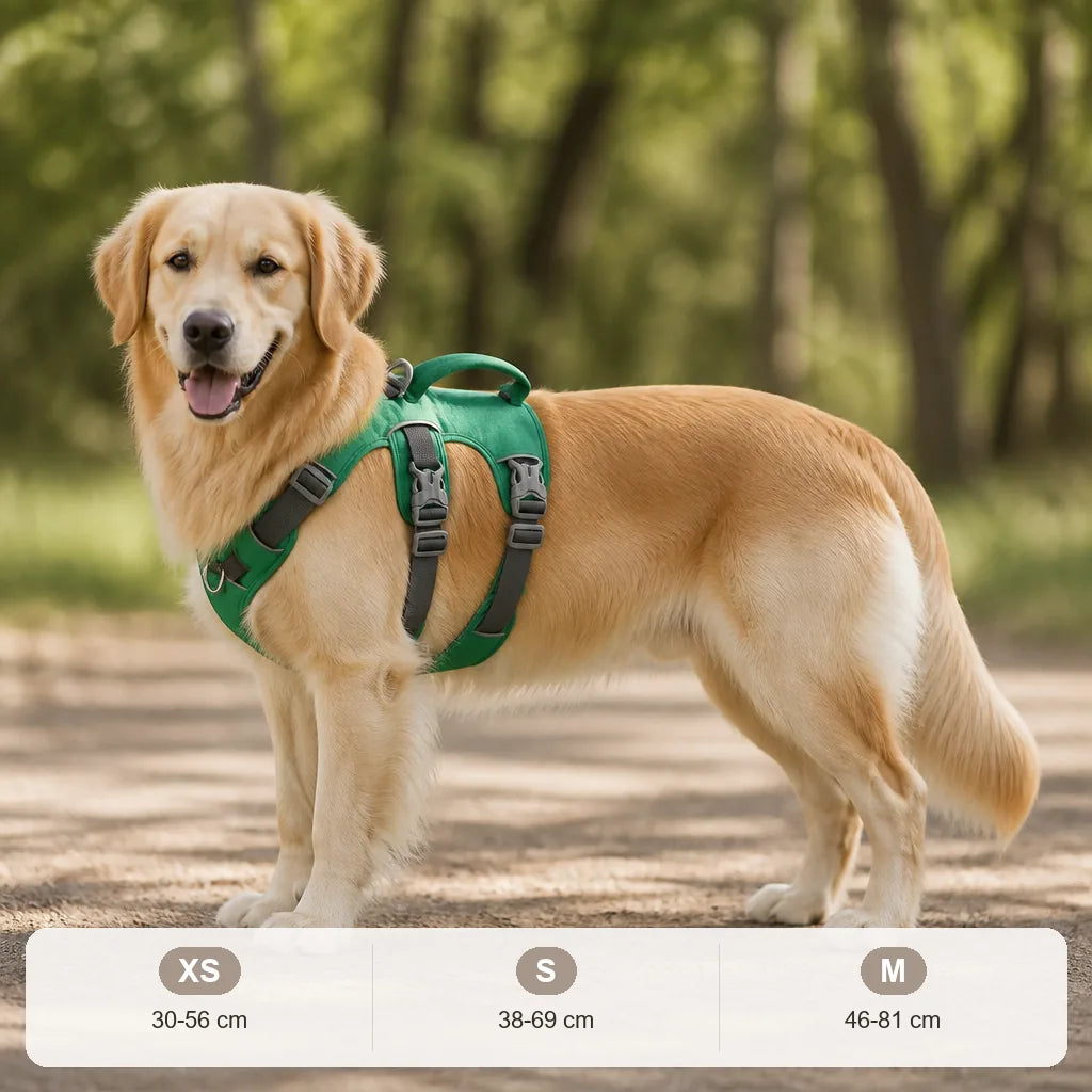 harnais-anti-traction-pour-chien