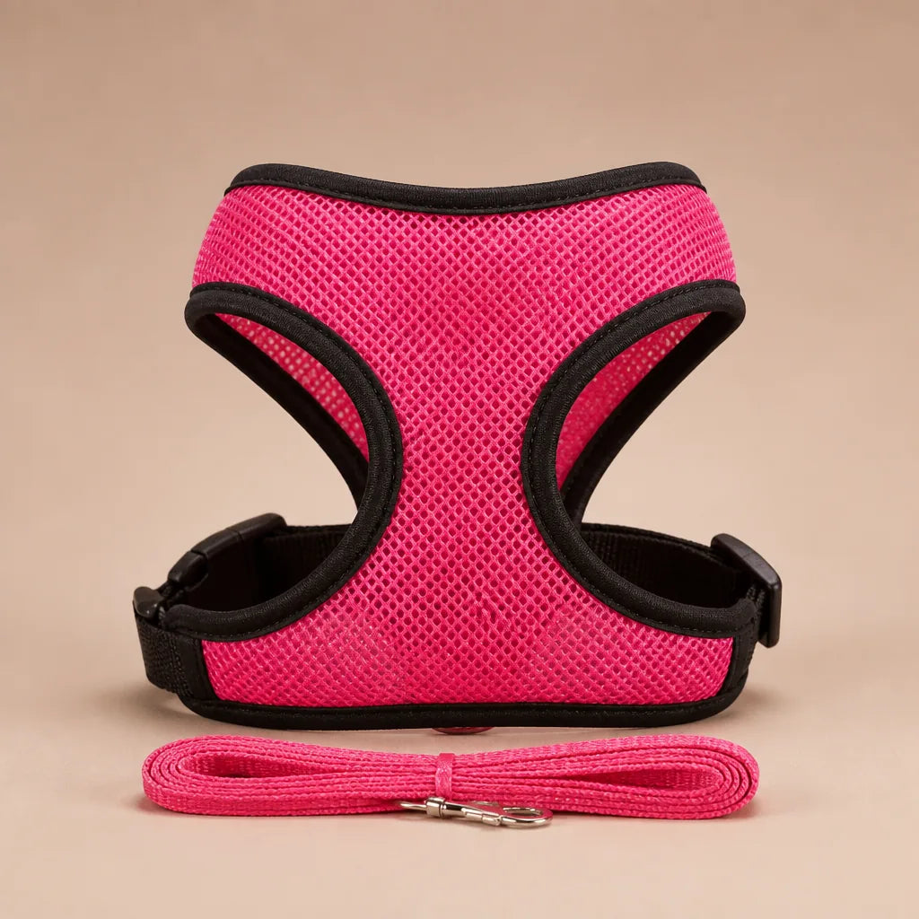Harnais Anti Traction Pour Petit Chien