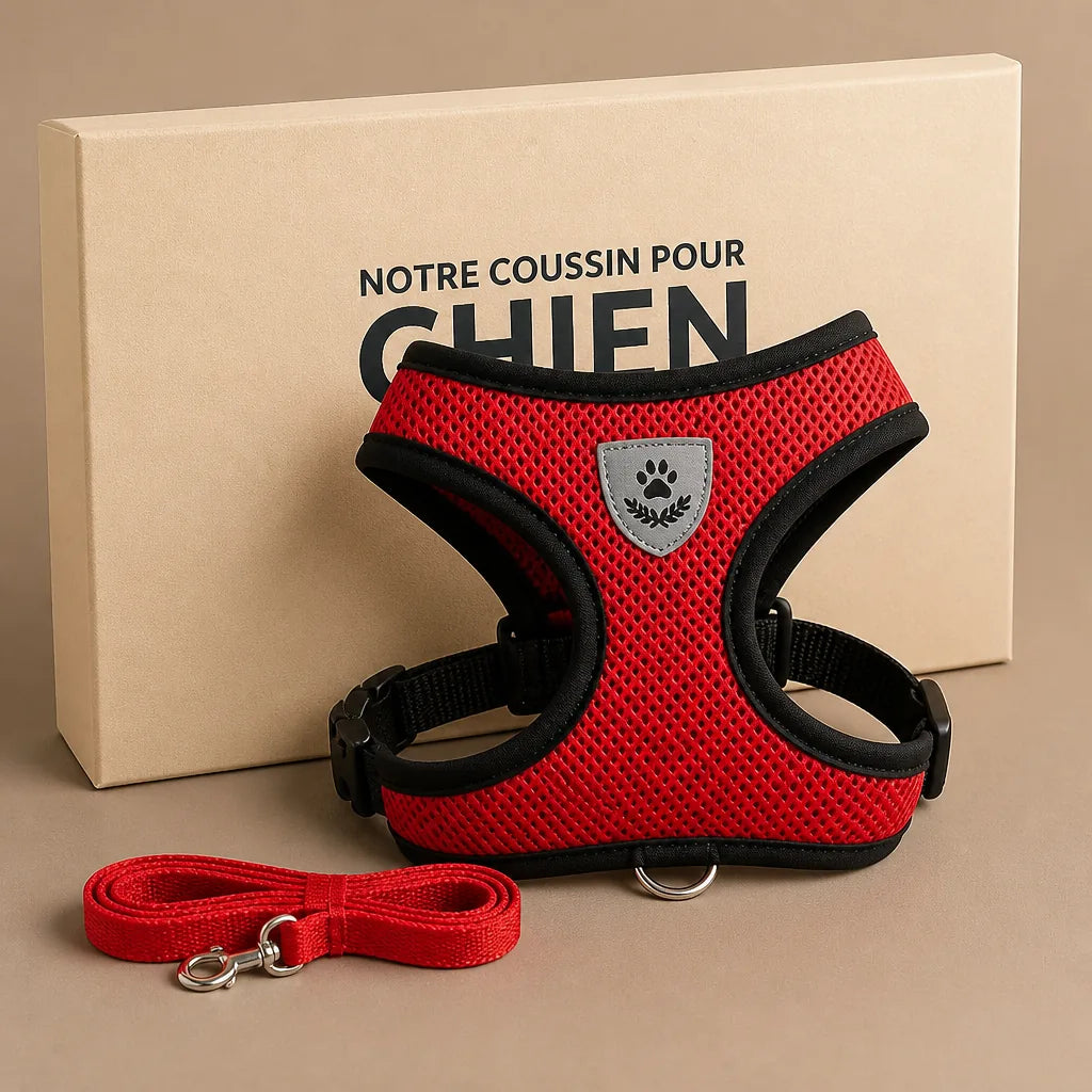 Harnais Anti Traction Pour Petit Chien