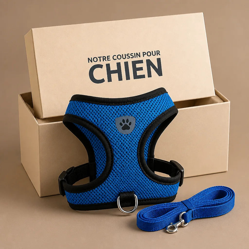 Harnais Anti Traction Pour Petit Chien