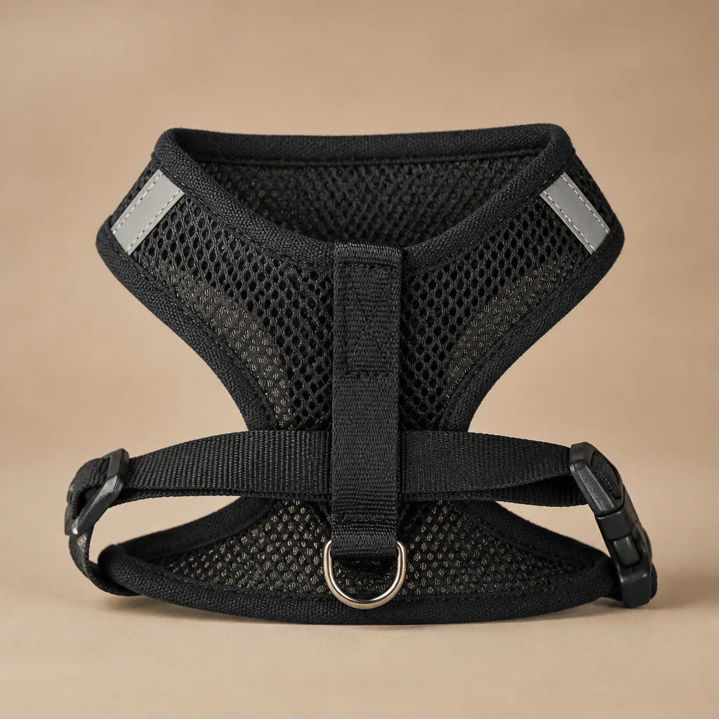 Harnais Anti Traction Pour Petit Chien