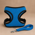 Harnais Anti Traction Pour Petit Chien