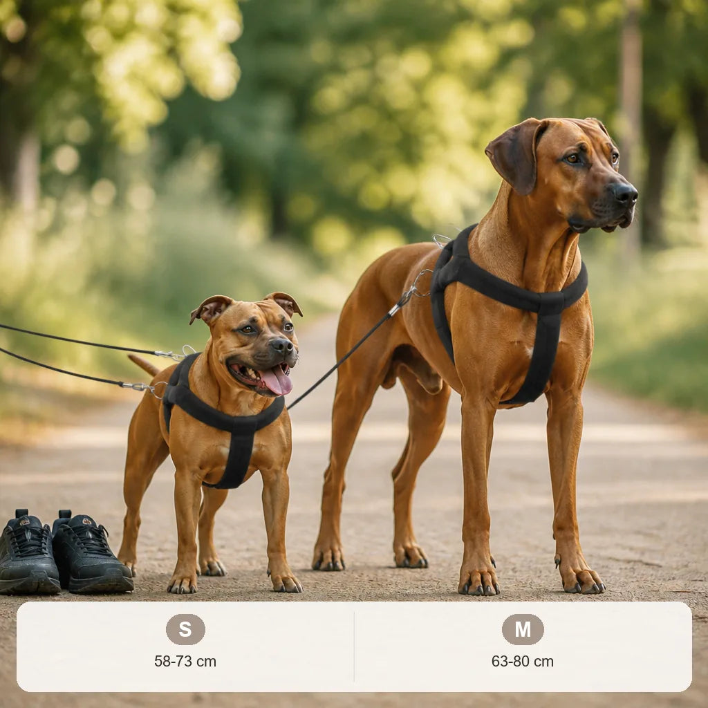 harnais-avec-poids-pour-chien