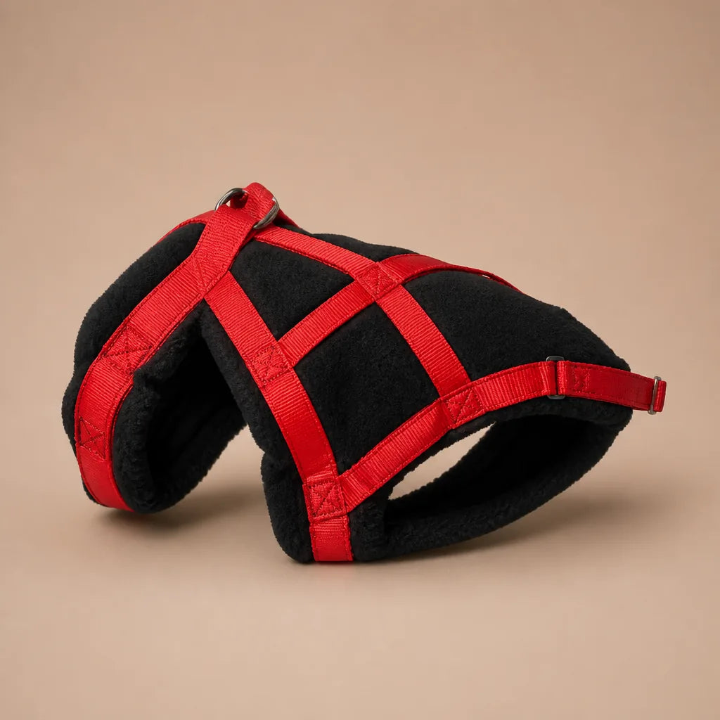 Harnais Canicross Pour Petit Chien