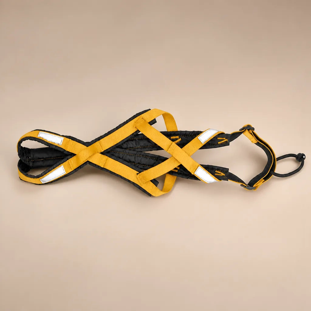 Harnais Canicross Pour Petit Chien
